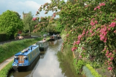 Alrewas by Church (c) Waterway Images